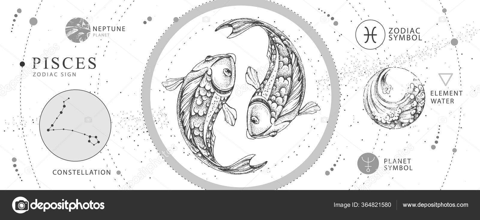 Modern Magic Witchcraft Card Astrology Pisces Zodiac Sign Realistic Hand Stock Vector Royalty Free Vector Image By C Annbozshko Modern Magic Witchcraft Card Astrology Pisces Zodiac Sign Realistic Hand Stock Vector Royalty Free Vector Image By C Annbozshko