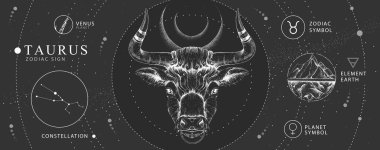 Astroloji burcu Taurus burçlu modern büyü kartı. Gerçekçi el boğa kafası çiziyor. Zodiac karakteristiği