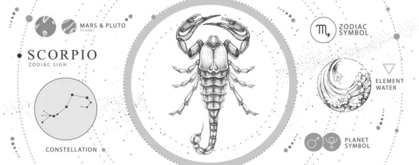 Carte Sorcellerie Magique Moderne Avec Astrologie Scorpion Signe Zodiaque Dessin — Image vectorielle