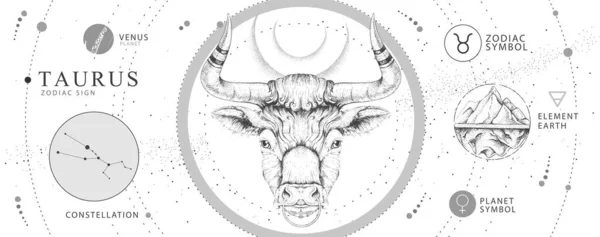 Modernt Magiskt Trollkarlskort Med Astrologi Taurus Zodiaktecken Realistiskt Handritande Tjurhuvud — Stock vektor