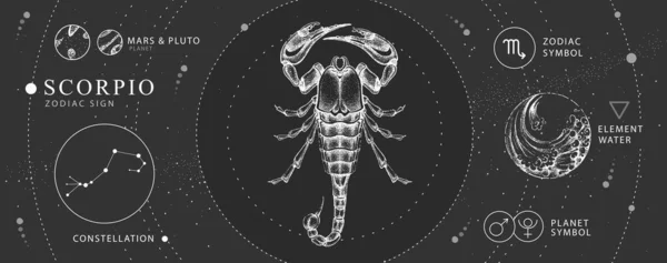 Carte Sorcellerie Magique Moderne Avec Astrologie Scorpion Signe Zodiaque Dessin — Image vectorielle