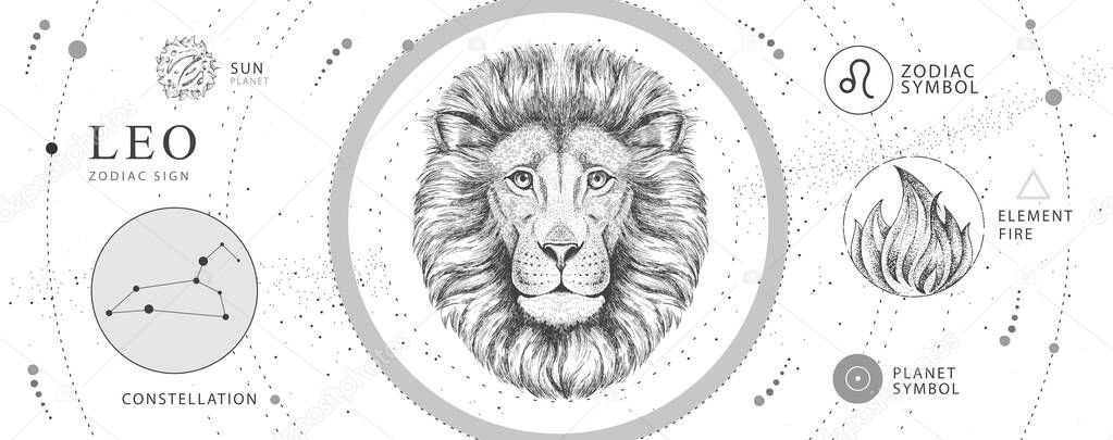 Modern magic witchcraft card with astrology Leo zodiac sign. Realistic hand drawing lion head. Zodiac characteristic