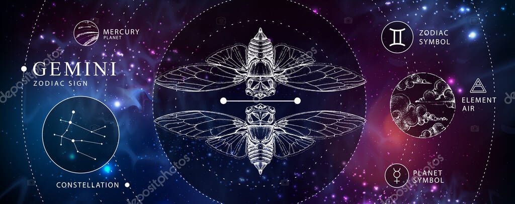 Modern magic witchcraft card with astrology Gemini zodiac sign. Realistic hand drawing butterfly or cicada illustration. Zodiac characteristic