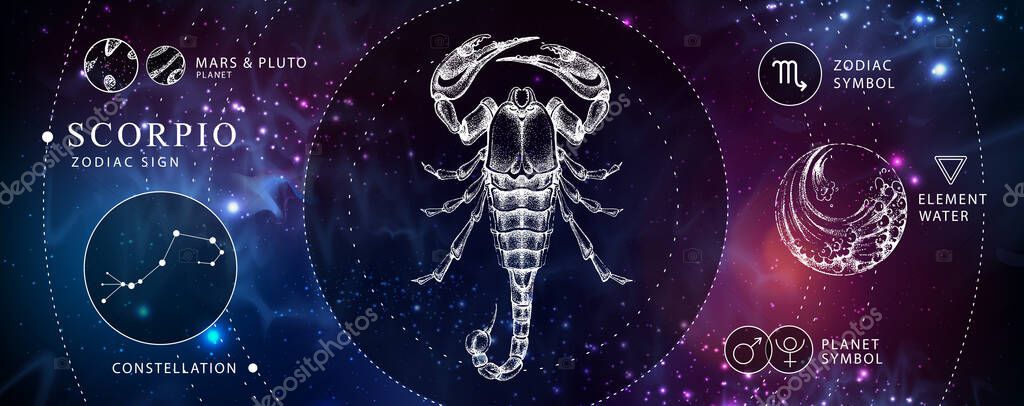 Modern magic witchcraft card with astrology Scorpio zodiac sign. Realistic hand drawing scorpion illustration. Zodiac characteristic