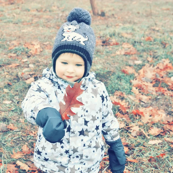 Mały chłopiec jest chodzenie w jesienny park — Zdjęcie stockowe