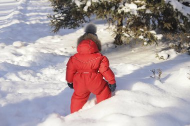 Bir çocuk kış giyim, kış parkın içinden bir yürüyüş portresi,