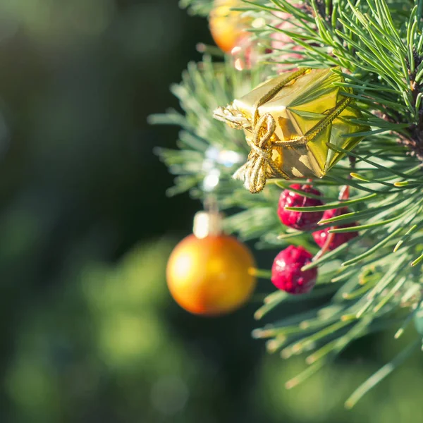 Χριστουγεννιάτικη σύνθεση, διακοσμήσεις Χριστουγέννων σε ένα υποκατάστημα ερυθρελάτης, βινιέτα, επίδραση της στο instagram — Φωτογραφία Αρχείου