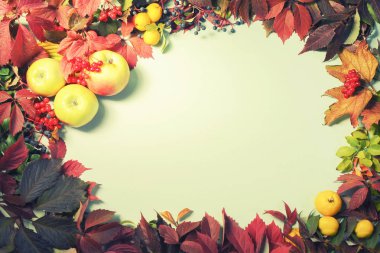 Sonbahar sonbahar düzenlenmesi bırakır ve meyve, en iyi görünüm, boşaltmak, arka plan, çerçeve