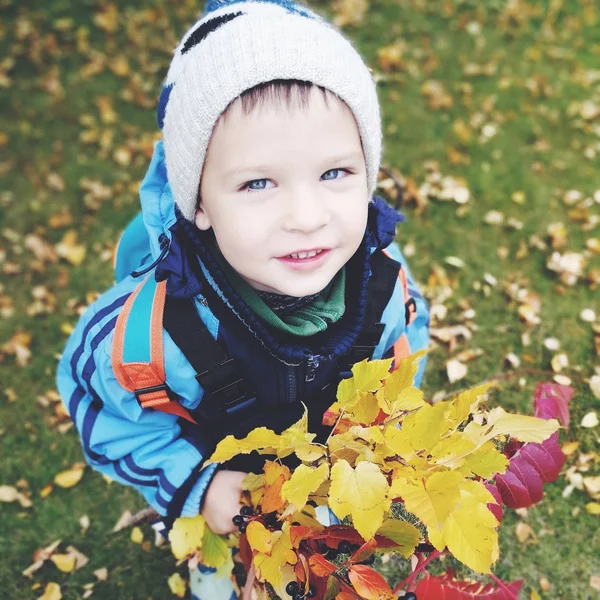 Chłopiec trzyma bukiet jesiennych liści, portret, makro, emocji, — Zdjęcie stockowe