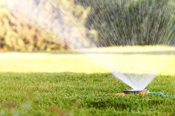 Watering the lawn with a sprinkler