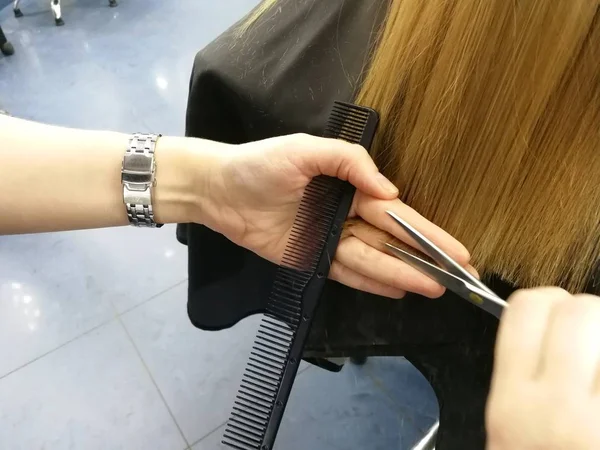 Corte de cabelo no salão de beleza, polimento de cabelo com uma máquina de escrever especial com um bocal, cabelo saudável, close-up , — Fotografia de Stock