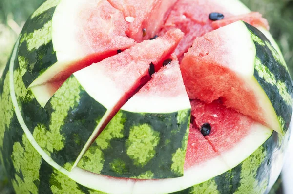 Skivad skivor av en mogen vattenmelon på grönt gräs — Stockfoto