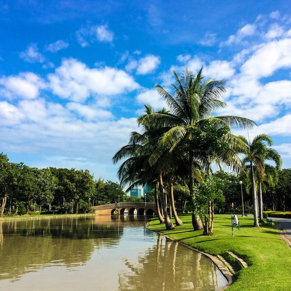 Hermosa vista al parque paisajístico con cocoteros y lagos y césped verde Cielo azul, fondo de nube blanca —  Fotos de Stock