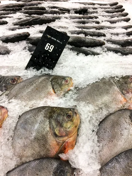 Frozen fish sold to customers.