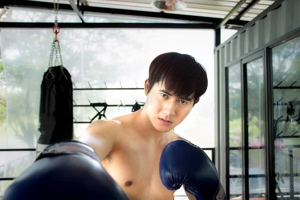 Boksör yumruk kameraya doğru veren spor salonunda yakışıklı delikanlı.