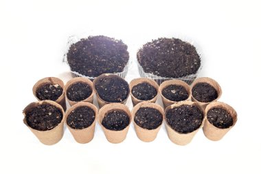 Fidan toprakla Şuradakilere