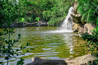 Küçük bir şelale. 