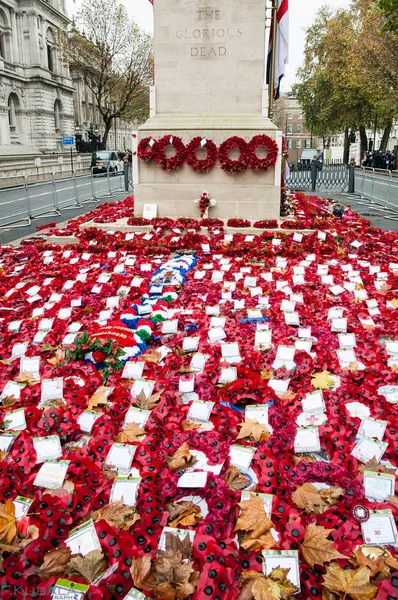 Kırmızı haşhaş çelenk önünde anıt, İngiltere, Londra