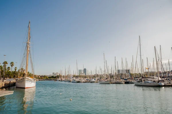 Hafen in Barcelona, Boote und Yachten auf türkisfarbenem Wasser Stockfoto