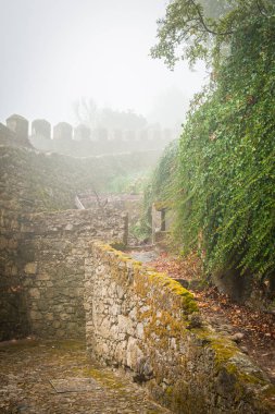 Portekiz, Sintra, Sis 'te yürüyüş yolu, Lizbon yakınlarında orman 