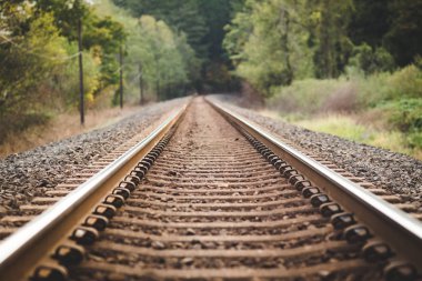 Tren yolu güzel, yemyeşil orman