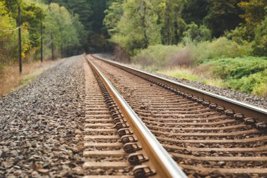 Tren yolu güzel, yemyeşil orman