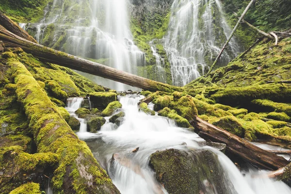 Hermosa cascada en exuberante bosque verde —  Fotos de Stock