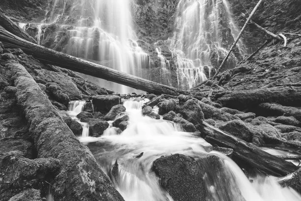 Cachoeira bonita em exuberante, Floresta Verde — Fotografia de Stock