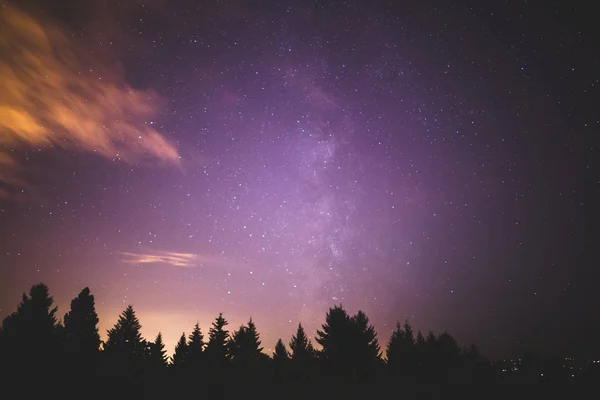 Vía Láctea sobre los árboles forestales — Foto de Stock