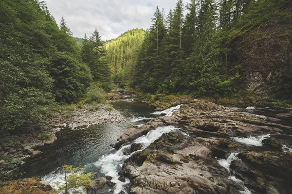 Río en un exuberante bosque — Foto de Stock