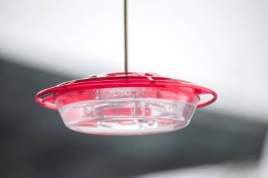 Plastik sinek kuşu besleyici