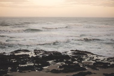 Okyanus kıyısında görmek Oregon kıyılarında