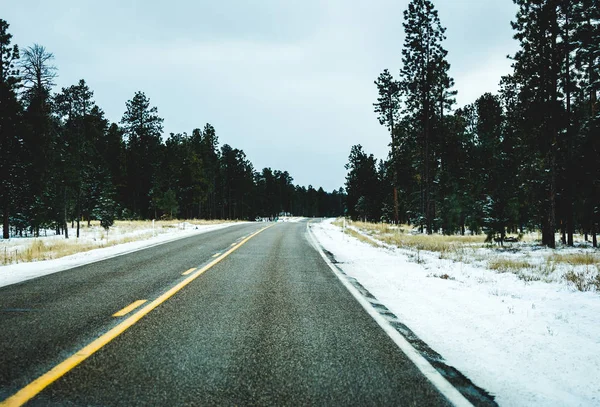 Motorväg med snö och tallar — Stockfoto