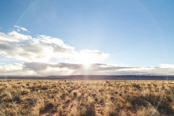 Пустельний ландшафт в Арізоні — стокове фото