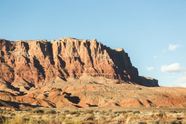 Arizona çöl manzarası