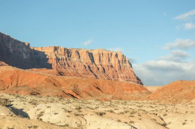 Arizona çöl manzarası