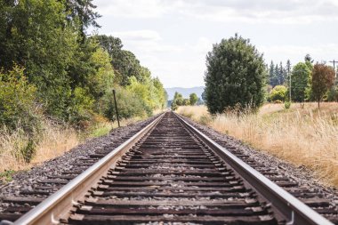Tren rayları yeşil yaz peyzaj
