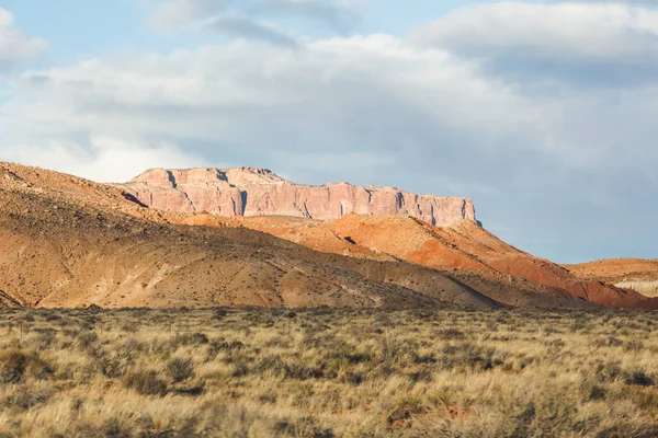 Ökenlandskap i arizona — Stockfoto
