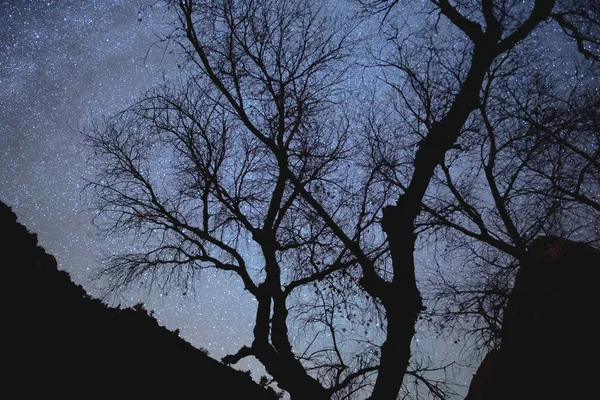 Звезды и силуэты в Национальном парке Сион — стоковое фото