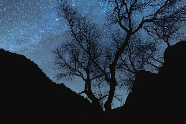 Звезды и силуэты в Национальном парке Сион — стоковое фото