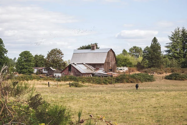 Ферма будинку в зеленої сільській місцевості — стокове фото