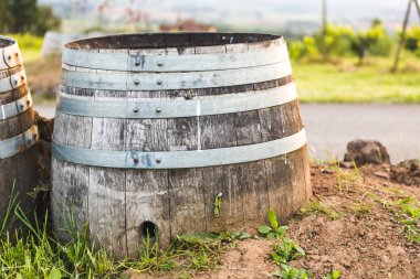 Bağ, dekoratif şarap varil