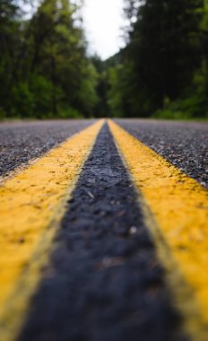 Forrest giden yol çizgileri