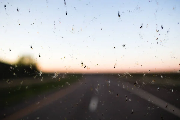 Ошибки на лобовом стекле на фоне шоссе — стоковое фото