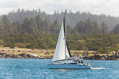 Ağaçlı bir nehirde yelken