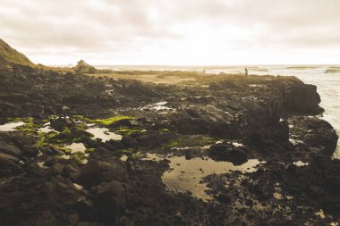 Oregon kıyılarında kayalık sahil