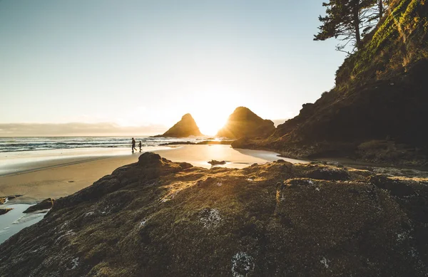 Linha costeira rochosa do Pacífico ao pôr do sol — Fotografia de Stock