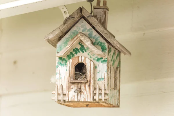 Witte en groene vogel huis — Stockfoto