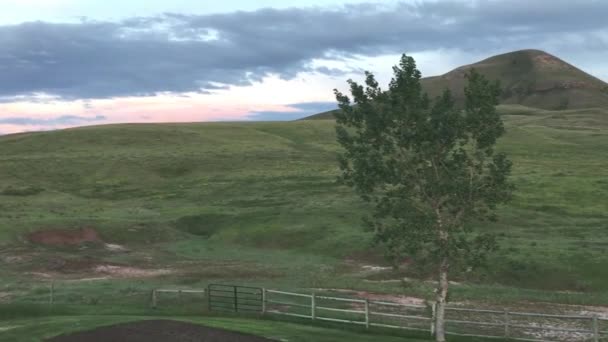 Paysage verdoyant à flanc de colline au coucher du soleil — Video