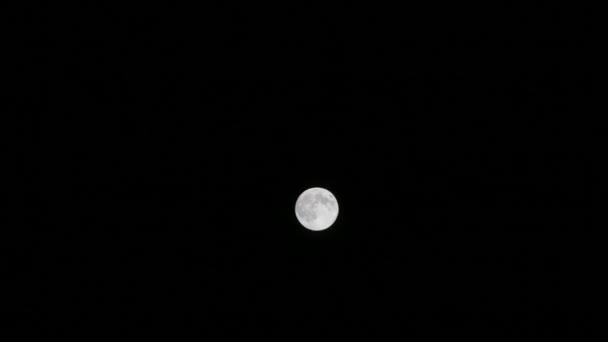 Vollmond am schwarzen Himmel — Stockvideo